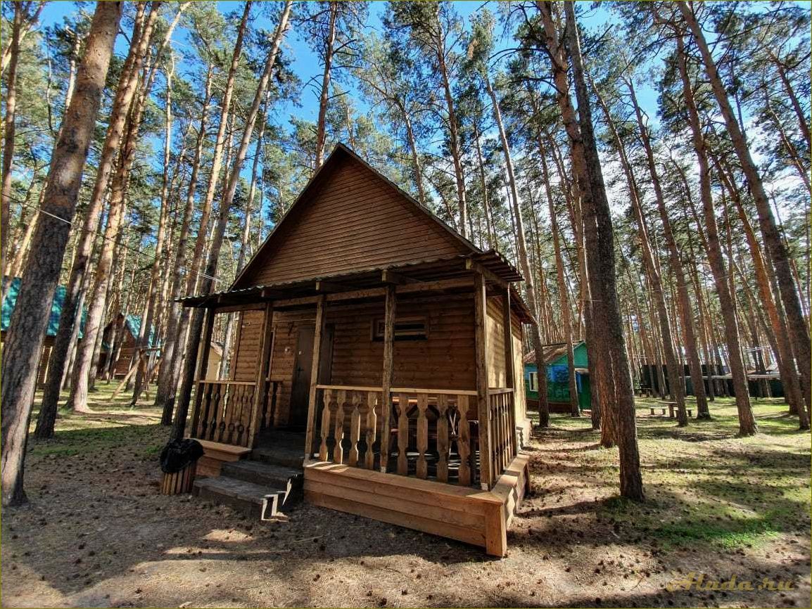 Недорогие базы отдыха в Омске и Омской области — лучшие варианты для комфортного отдыха без переплаты