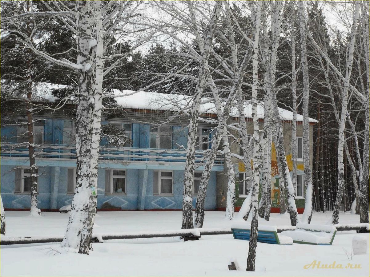 Отдых в прекрасной Новосибирской области — путеводитель по самым удивительным местам и достопримечательностям