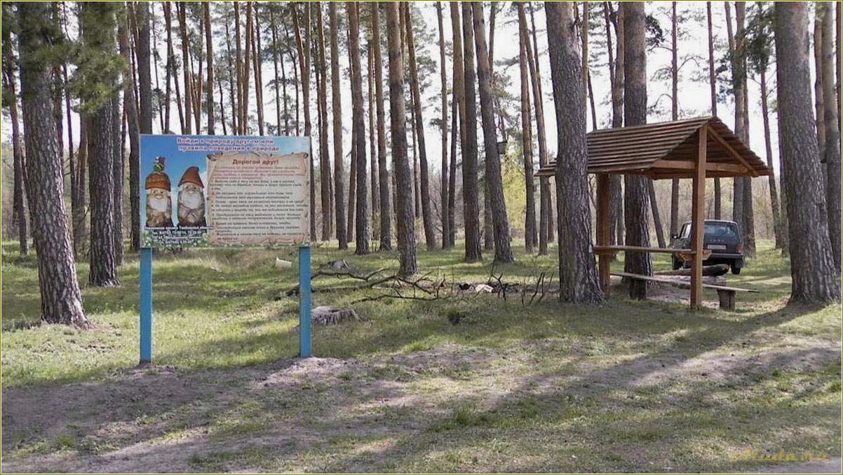 Отдых в лесу Тамбовской области