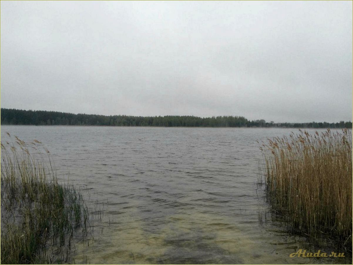 Отдых на озере Беленькое в Рязанской области — идеальное место для релакса и активного отдыха в окружении прекрасной природы