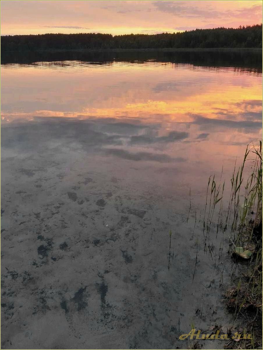 Отдых на озере Беленькое в Рязанской области — идеальное место для релакса и активного отдыха в окружении прекрасной природы