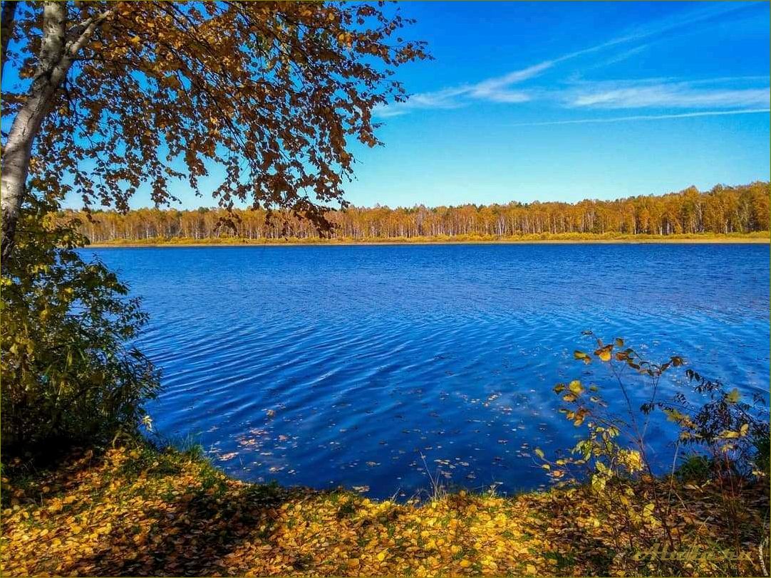 Отдых на озере Данилово Омская область — цена, условия, развлечения