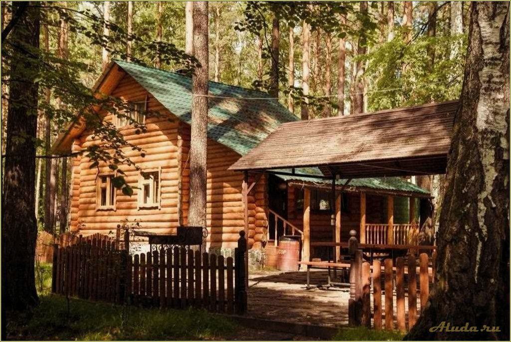 Отдых в лесах Сахалинской области: идеальная база для релаксации и приятного времяпрепровождения