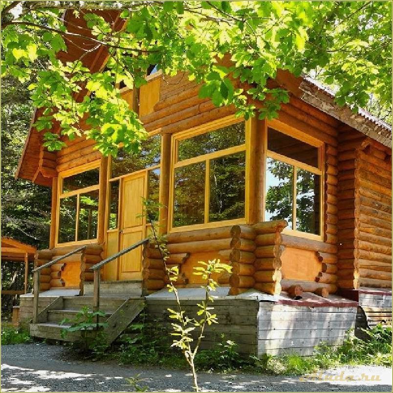 Отдых в лесах Сахалинской области: идеальная база для релаксации и приятного времяпрепровождения