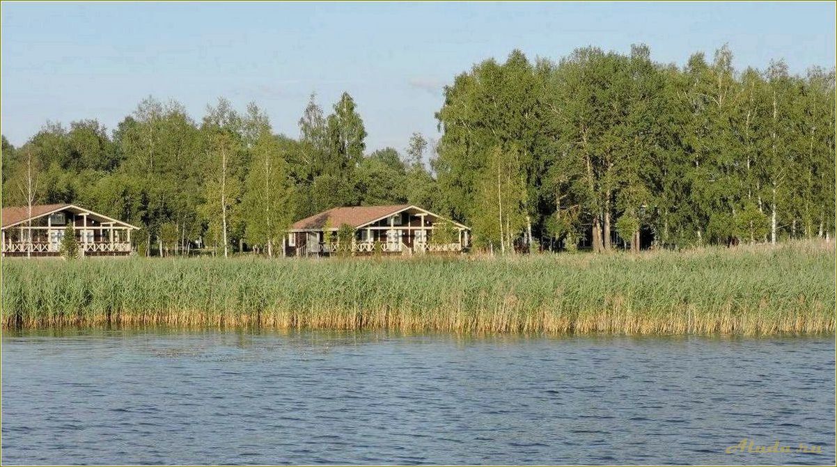 База отдыха на Вазузе Смоленская область