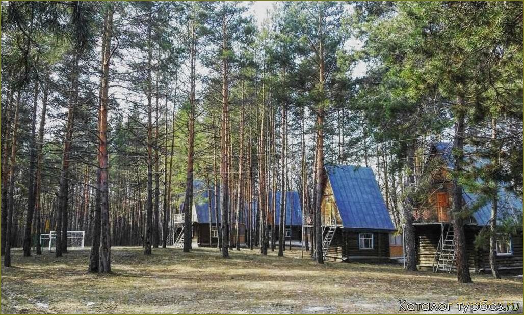 База отдыха на Хопре Пензенской области — идеальное место для семейного отдыха и активного времяпрепровождения