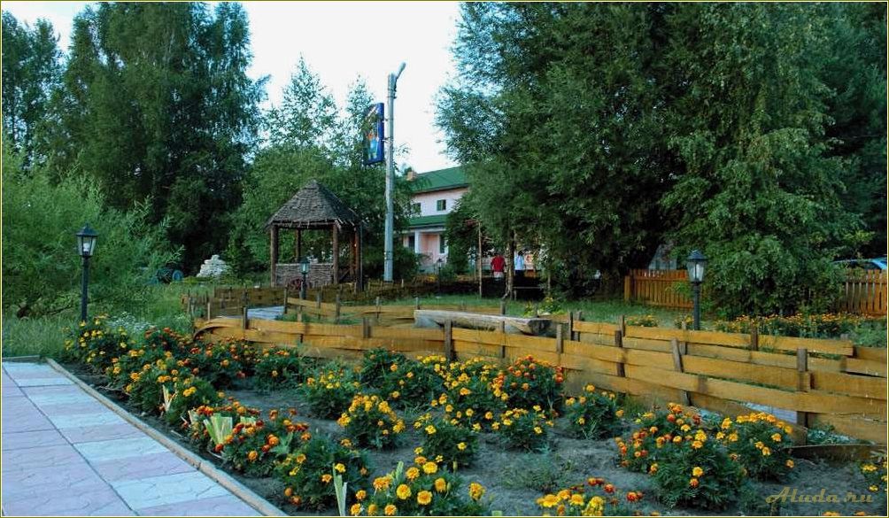База отдыха в Рязанской области — уникальное место для отдыха и развлечений в Терехове