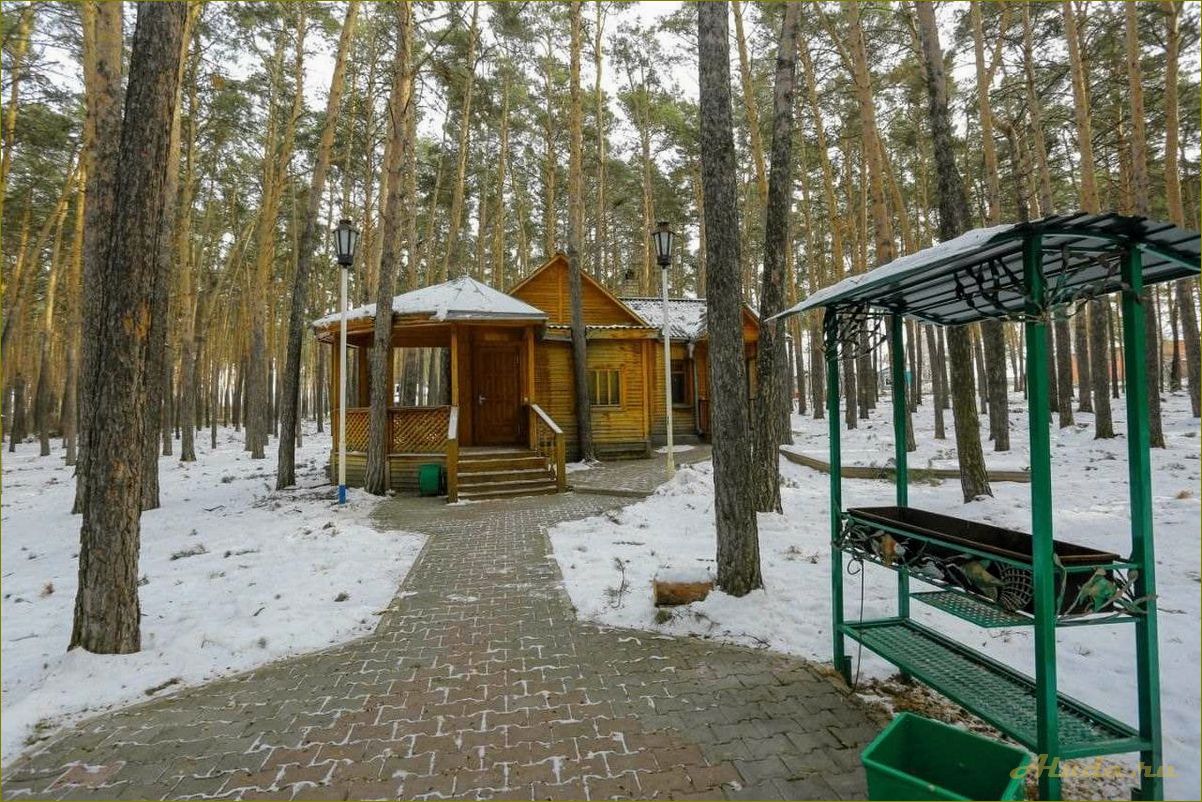 База отдыха в лесу Омской области — идеальное место для спокойного отдыха на природе