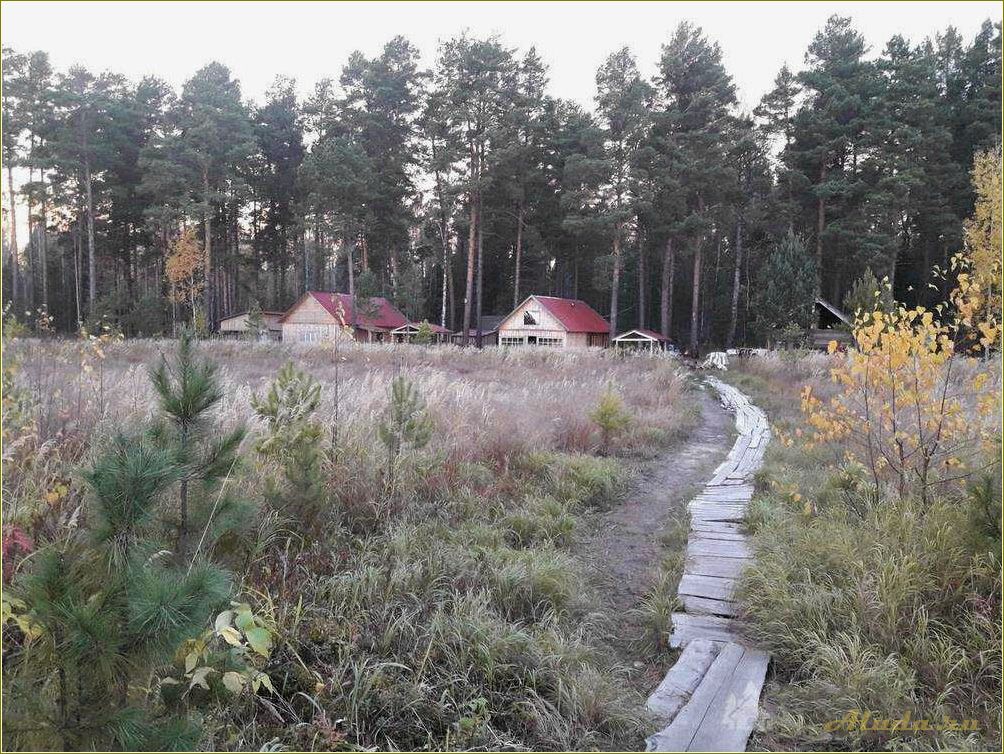Базы отдыха в Первомайском районе Томской области
