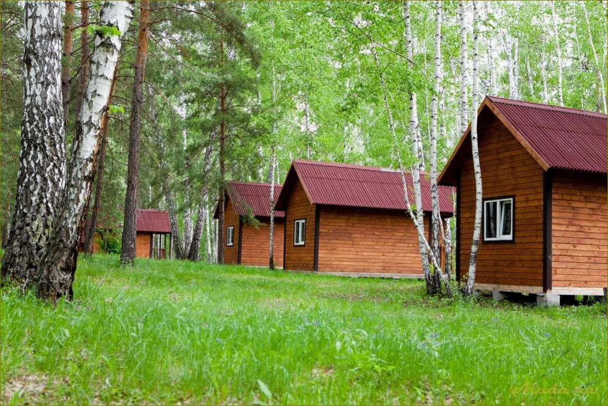 Базы отдыха новосибирской области на берегу озера — лучшие места для семейного отдыха и активного времяпрепровождения