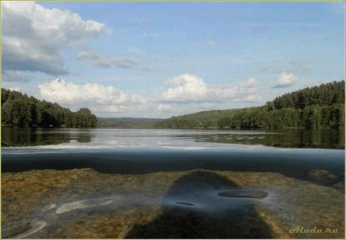Базы отдыха на Белом озере в Николаевском районе Ульяновской области: цены и услуги
