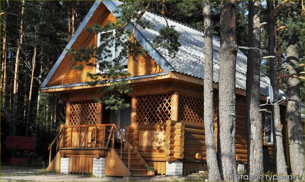 Недорогая база отдыха в Новгородской области — идеальное место для экономичного отдыха