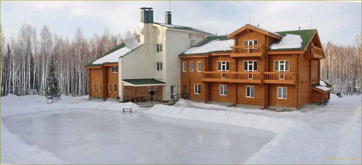 Лучшие базы отдыха в Новосибирской области на Новый год для незабываемого отдыха