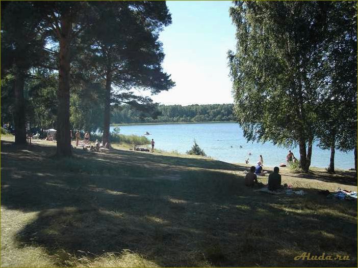 Озеро Данилово Омская область — база отдыха, отзывы, фото и возможности для активного отдыха
