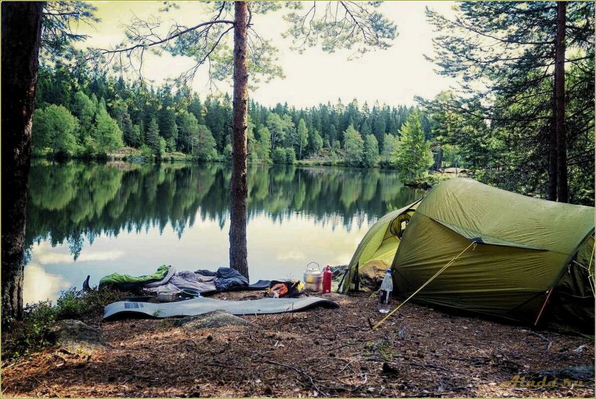 Озеро великое рязанская область отдых с палатками