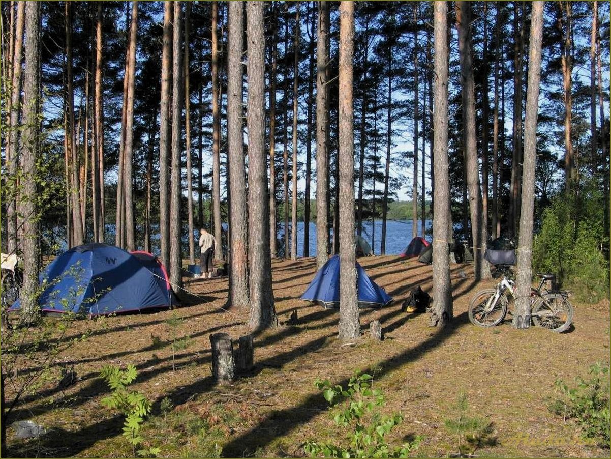 Тверская область: отдых на природе с палатками