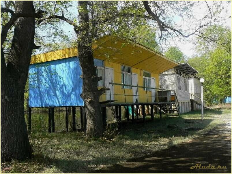 Отдых на базах в Чардыме Саратовской области: идеальный вариант для всех!