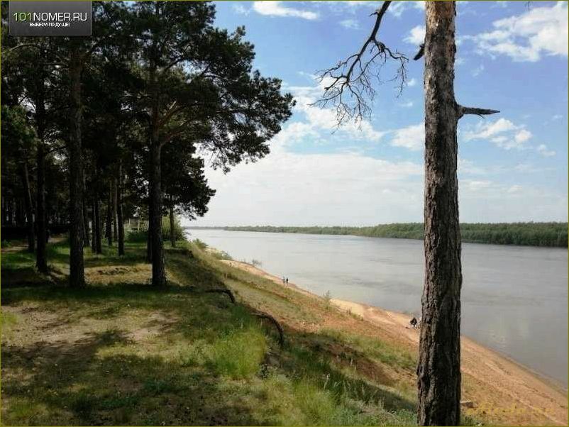 База отдыха на берегу реки Иртыш в Омской области — идеальное место для отдыха и релаксации
