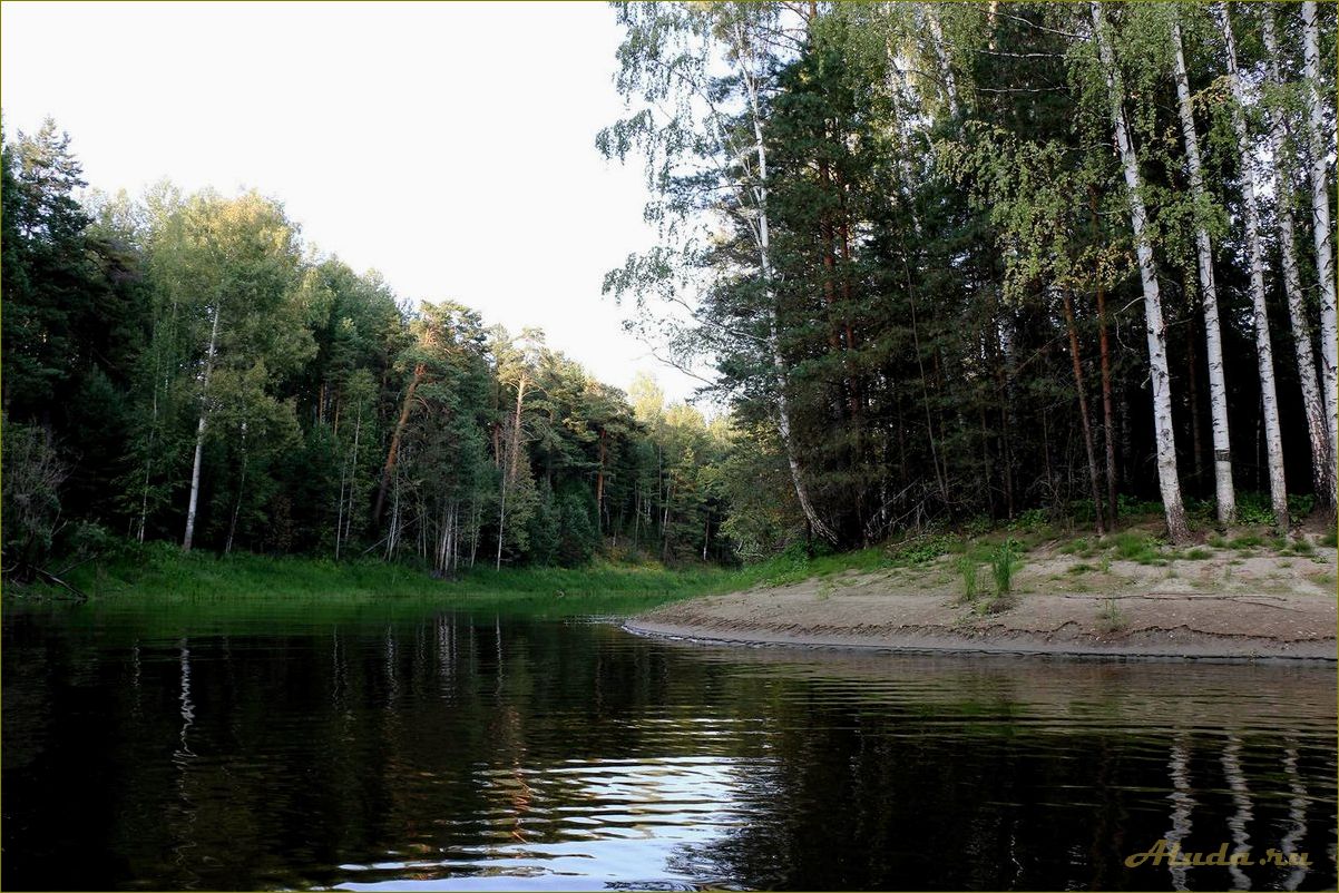 База отдыха в Тевризе Омской области — идеальное место для отдыха и релаксации