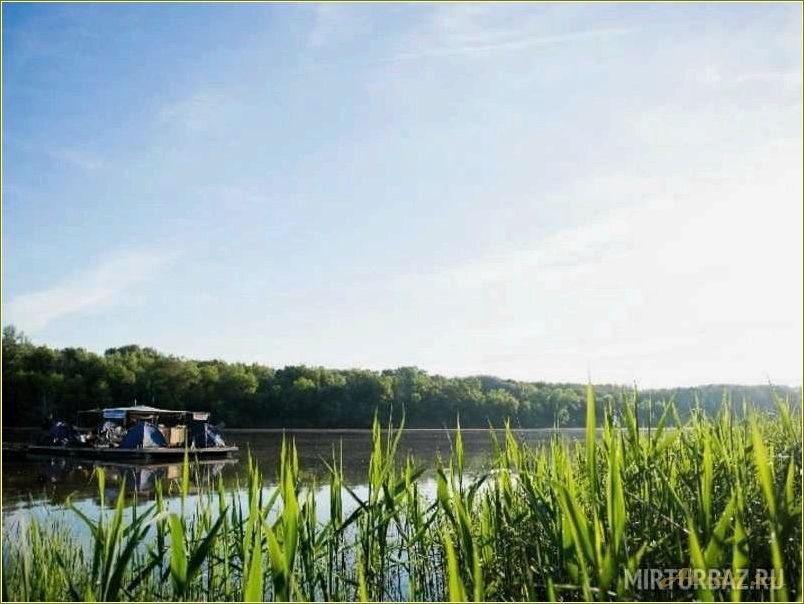 База отдыха на Донских озерах в Ростовской области — идеальное место для семейного отдыха и активного времяпровождения
