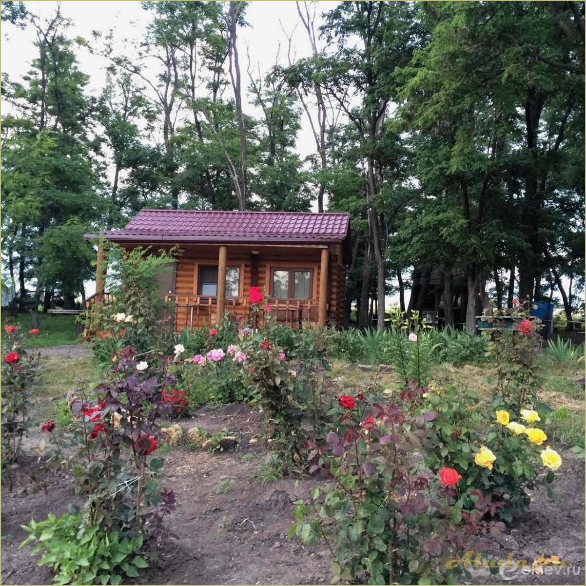 База отдыха на Донских озерах в Ростовской области — идеальное место для семейного отдыха и активного времяпровождения