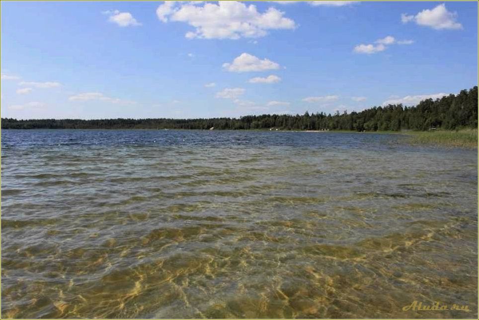 База отдыха на Белом озере в Ульяновской области