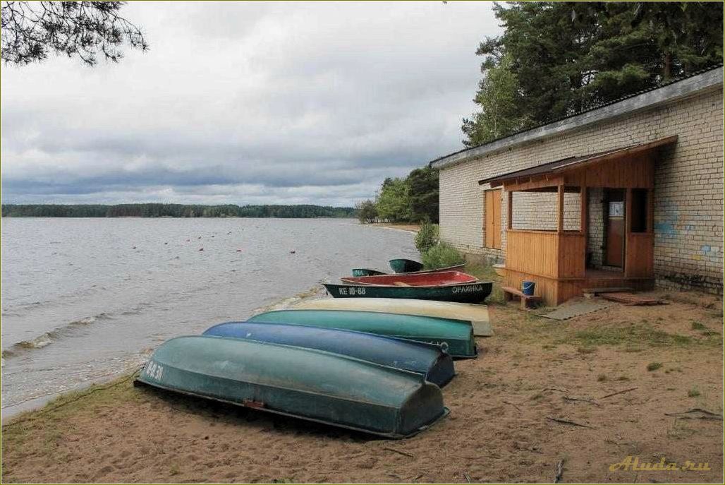 База отдыха на озере Пено Тверская область