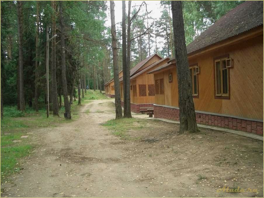 База отдыха на озере Рытое в Смоленской области: отличный выбор для активного отдыха