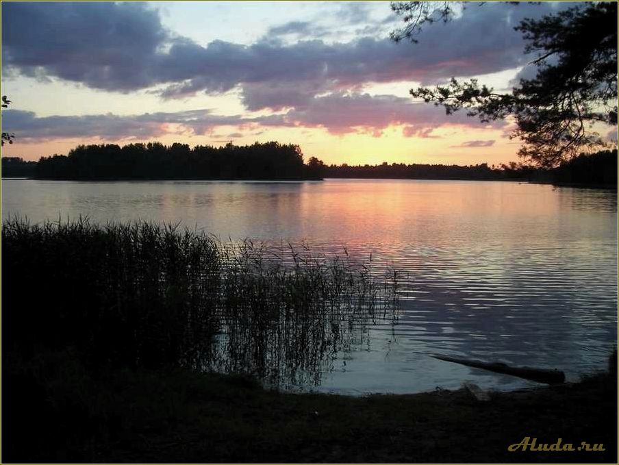 База отдыха на озере Рытое в Смоленской области: отличный выбор для активного отдыха