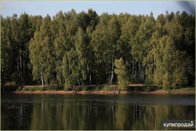 База отдыха Сутка в Некоузском районе Ярославской области