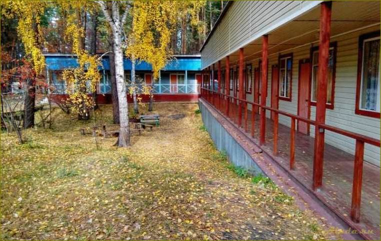 База отдыха в Завьялово, Новосибирская область, Искитимский район — идеальное место для комфортного отдыха и развлечений