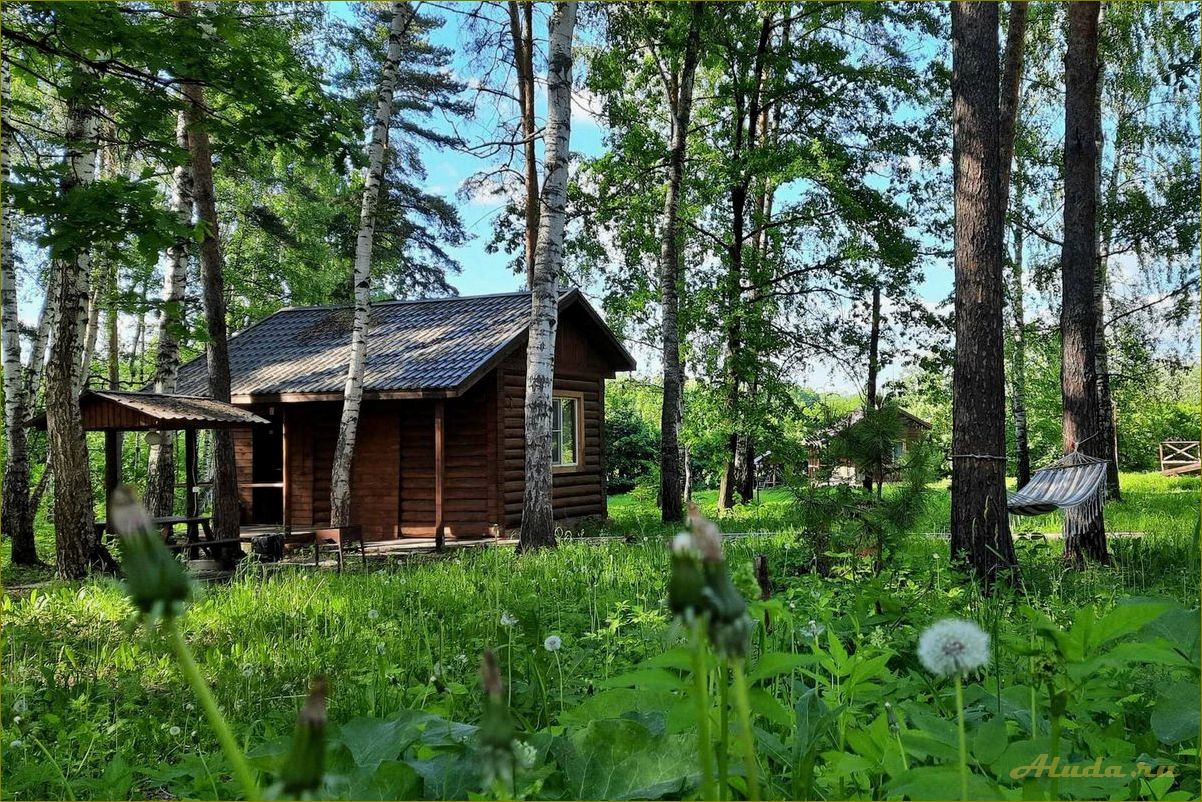 Путешествие по лучшим базам отдыха нижегородской области — где отдохнуть с комфортом и насладиться природой