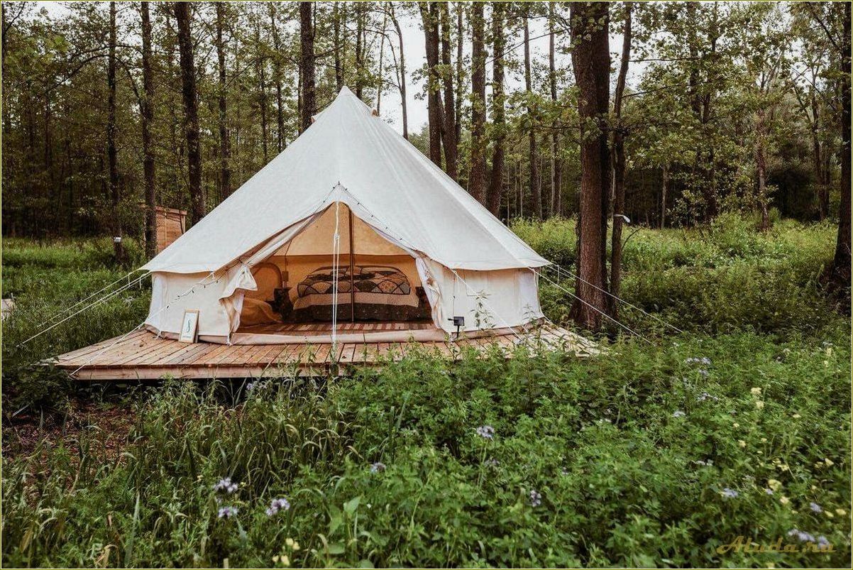 Место отдыха с палатками в Тульской области