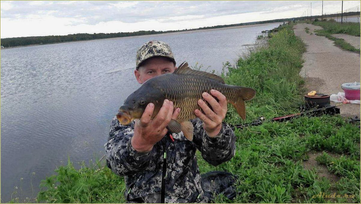 Лучшие места для рыбалки в Ульяновской области: где провести отдых на природе