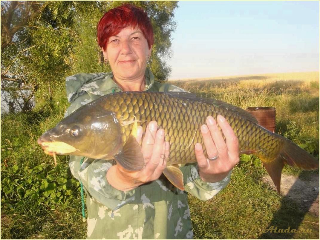 Лучшие места для рыбалки в Ульяновской области: где провести отдых на природе