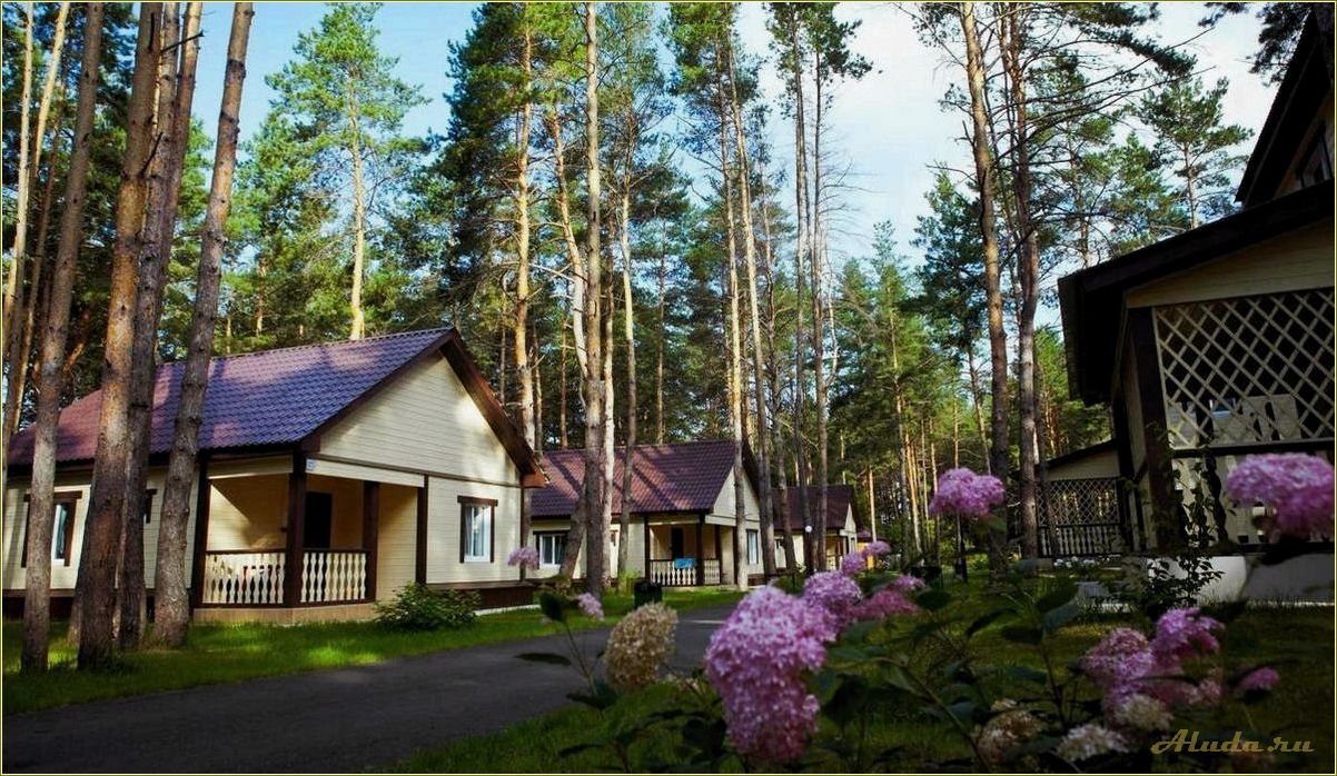 Отдых в сосновом лесу Самарская область — лучшие места для уединенного отдыха и активного времяпрепровождения