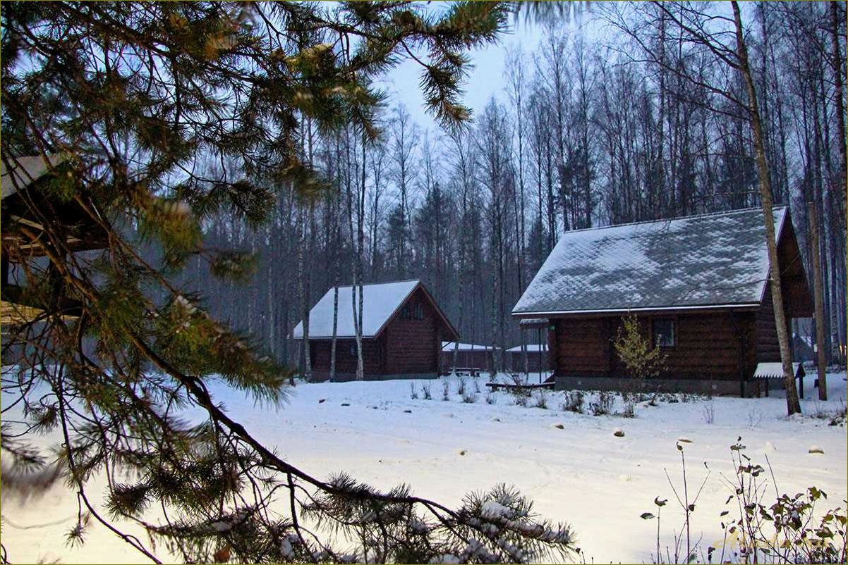 Идеальный зимний отдых на базе отдыха в Новосибирской области — горные лыжи, катание на снегоходах и уютные коттеджи