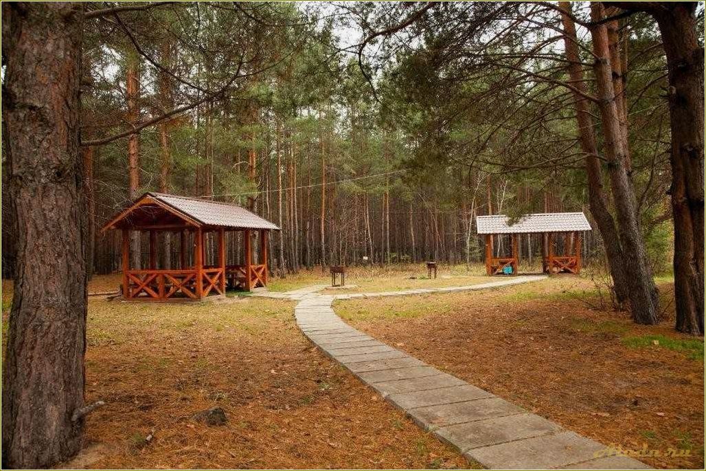 Рязанская область — лучшие базы отдыха и пансионаты для незабываемого отпуска