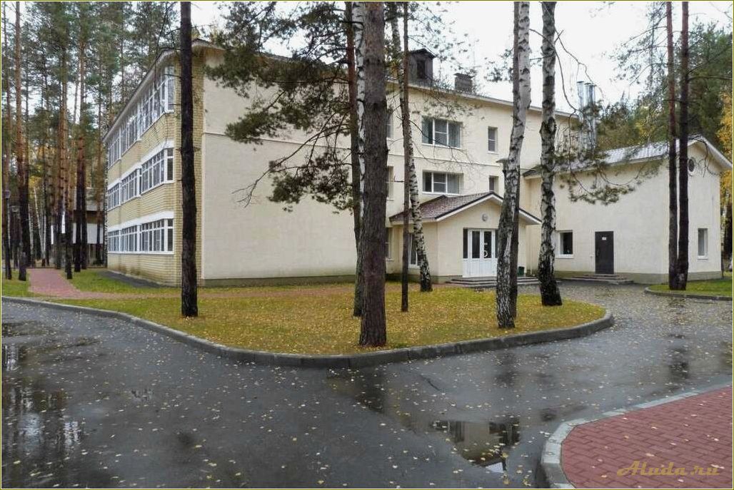 База отдыха правительства Рязанской области в Рязанском районе — идеальное место для отдыха и релаксации