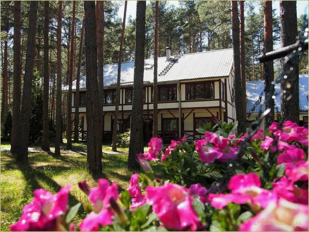 База отдыха в Псковской области — наслаждайтесь природой и комфортом в Плескове