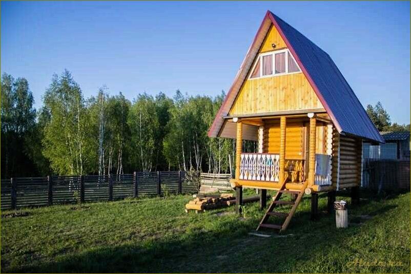Лучшие базы отдыха с домиками в Орловской области — комфорт, природа и отличный отдых для всей семьи!