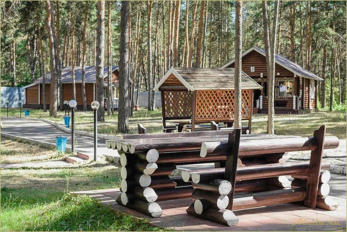 Уникальные базы отдыха в живописной усадьбе Шигонского района Самарской области