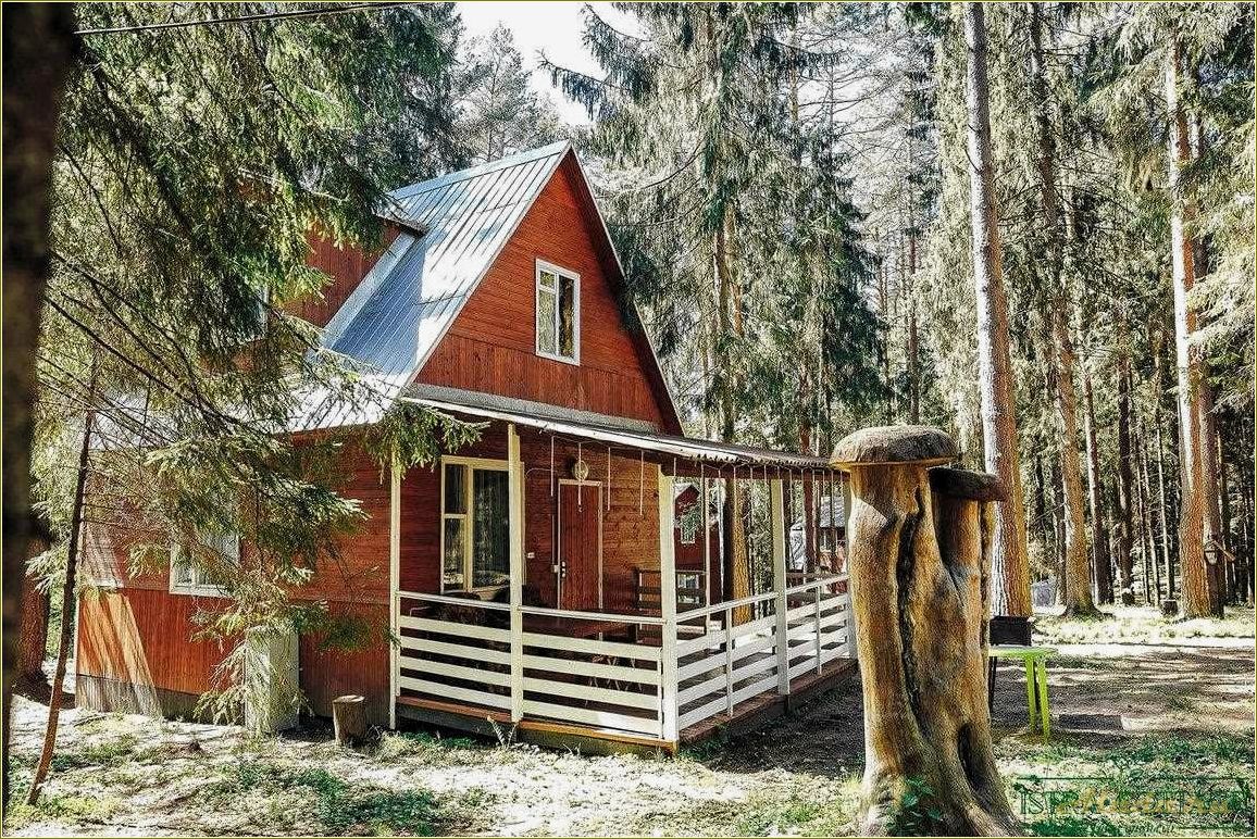 Выбирайте лучшие базы отдыха в Рязанской области с уютными отдельными домиками на берегу по доступной цене