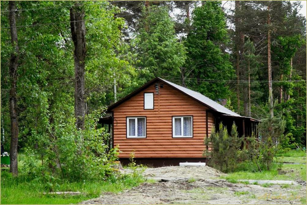 Дом отдыха Белое озеро Ульяновская область