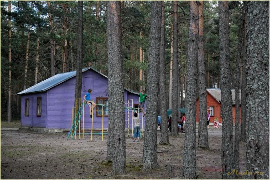 Лагерь отдыха в Псковской области — идеальное место для активного отдыха и здорового образа жизни