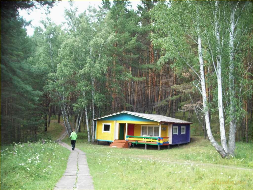 Открывается новая база отдыха в Омской области — идеальное место для семейного отдыха и активного времяпрепровождения!