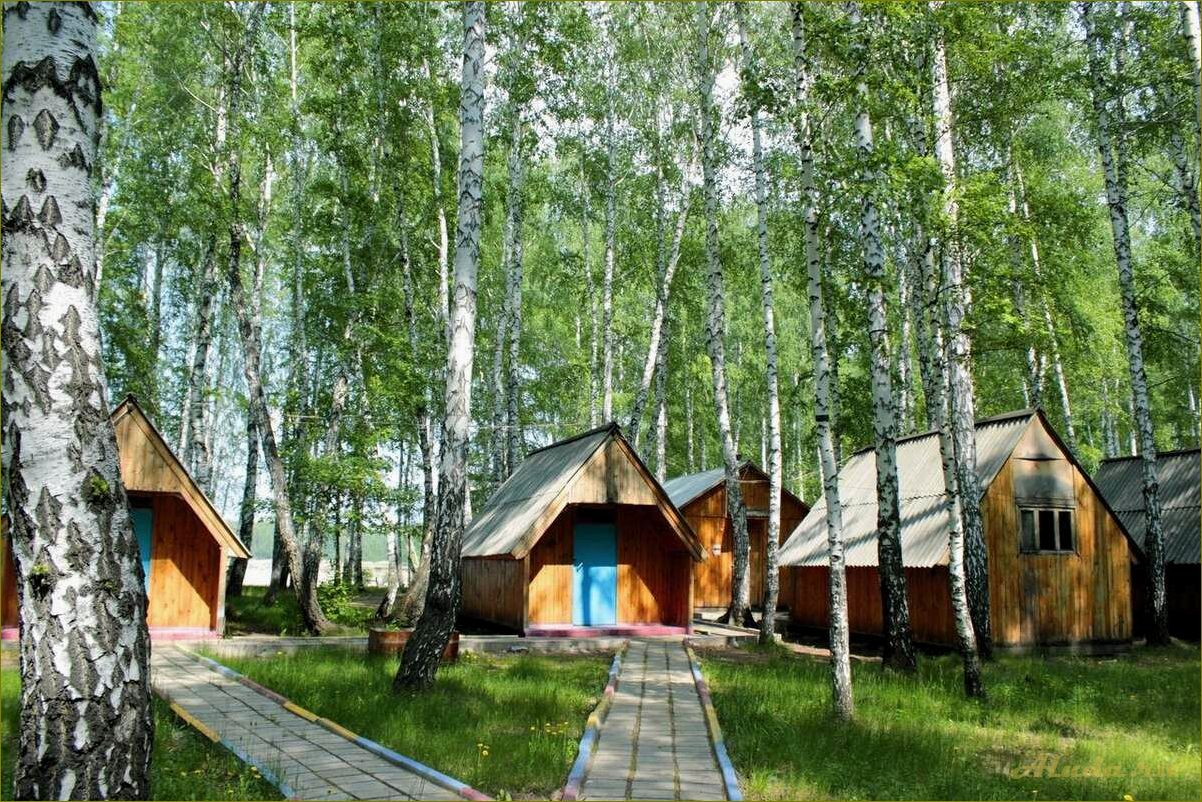 Отдых на территории новосибирской области — лучшие места для активного отдыха и релаксации