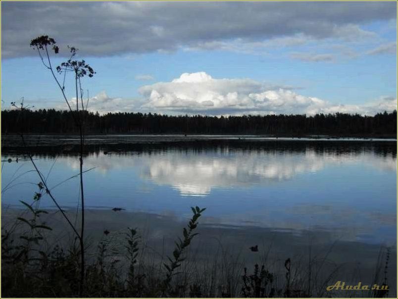 Озеро в Тамбовской области: идеальное место для отдыха