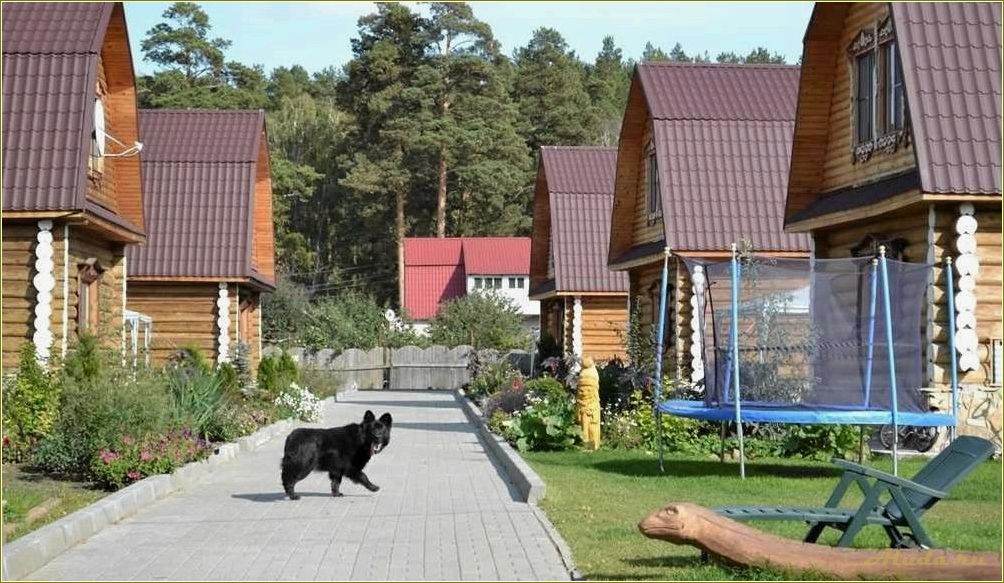 База отдыха в деревне Челябинская область