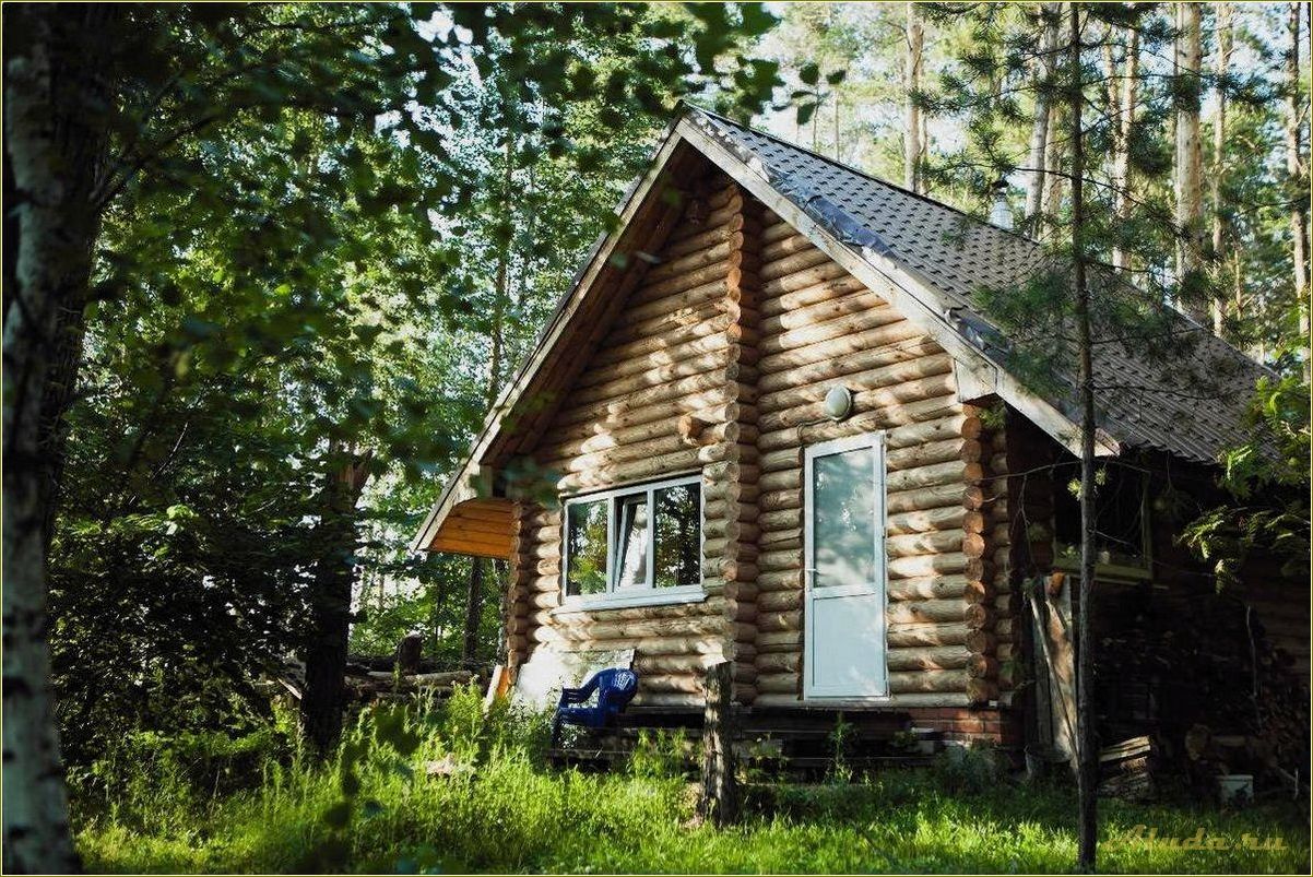 База отдыха в Ульяновской и Самарской областях — идеальное место для отдыха и развлечений